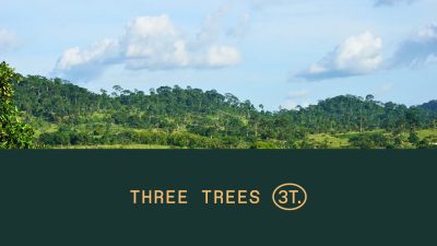 3t Banner Social