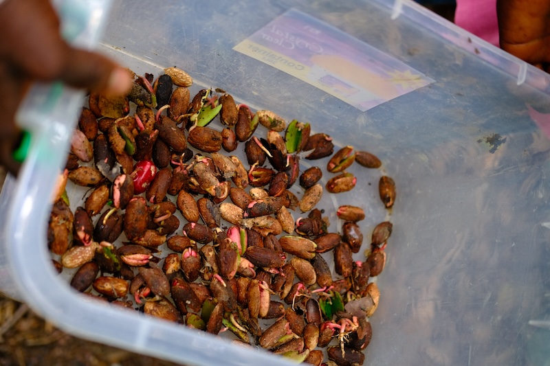 (ja) Rahul's Report Water Resilient Seeds